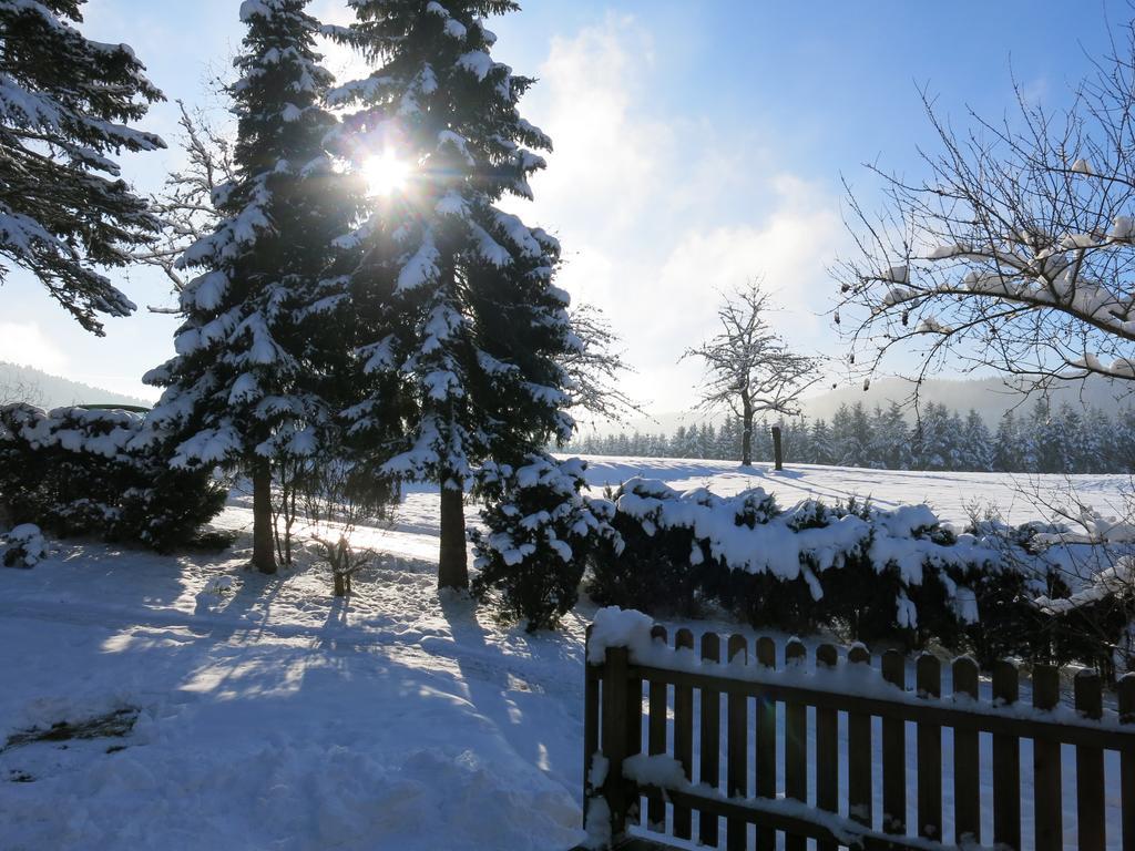 Ferienwohnung Tischneck Schramberg Rum bild