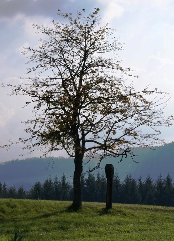 Ferienwohnung Tischneck Schramberg Exteriör bild